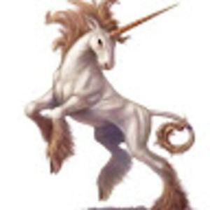 Meet your Posher, Nina